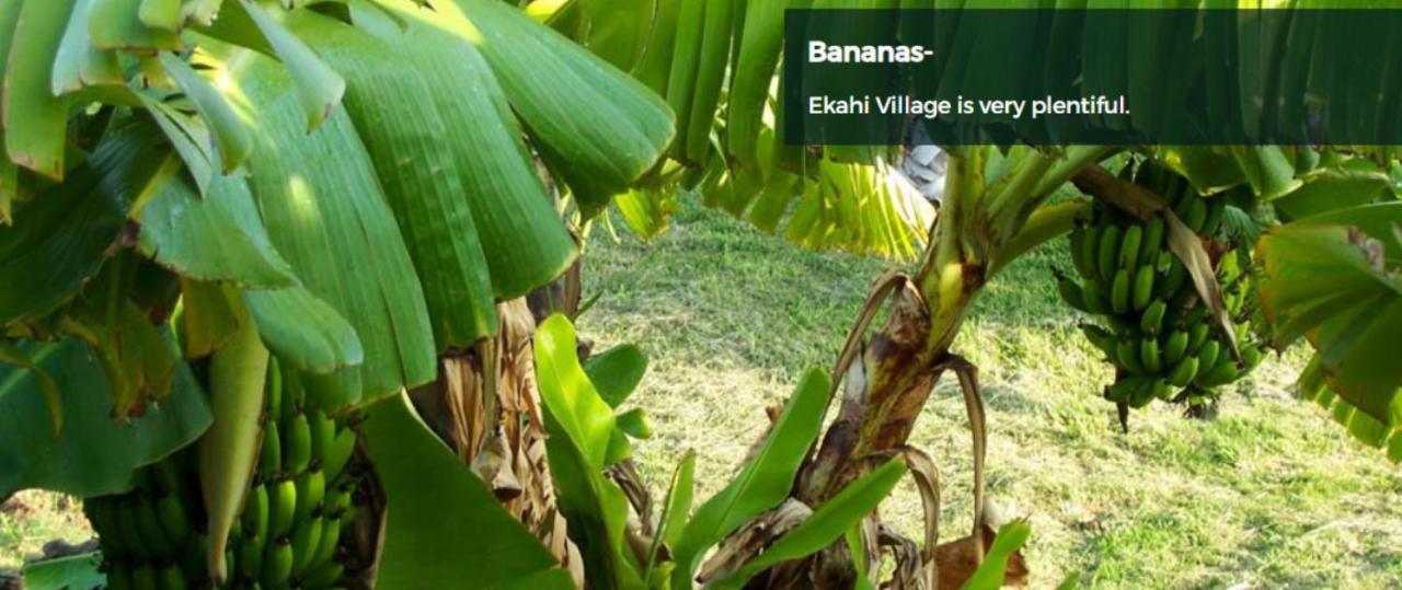 ويليا 9B Ekahi Village-Studio Bath, Garden View - 1 Minute Stroll To Beach! المظهر الخارجي الصورة